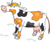 Black White And Orange Cow Clip Art
